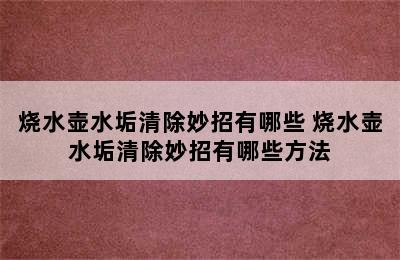 烧水壶水垢清除妙招有哪些 烧水壶水垢清除妙招有哪些方法